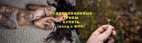 молекула духа Волоколамск