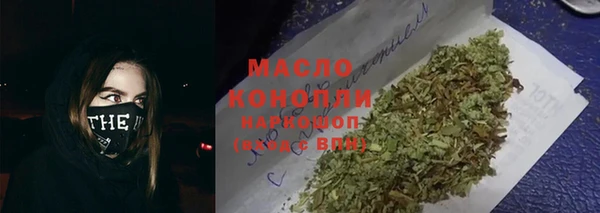 МДПВ Бородино
