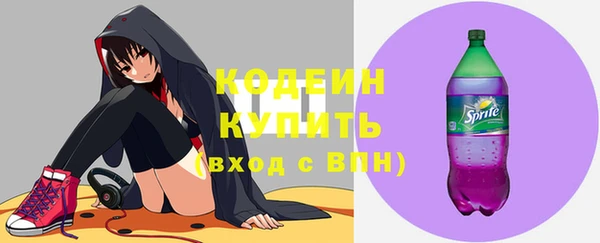 МДПВ Бородино