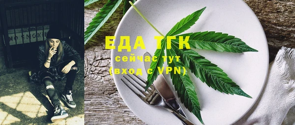 МДПВ Бородино