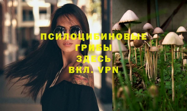 МДПВ Бородино