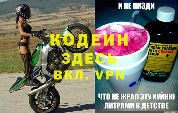МДПВ Бородино