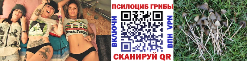 блэк спрут как зайти  Верхняя Пышма  Галлюциногенные грибы прущие грибы 